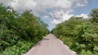 Animales mueren atropellados al huir de los incendios en Yucatán