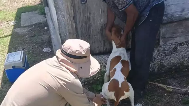 Se instalarán brigadas móviles y puestos fijos en seis municipios.