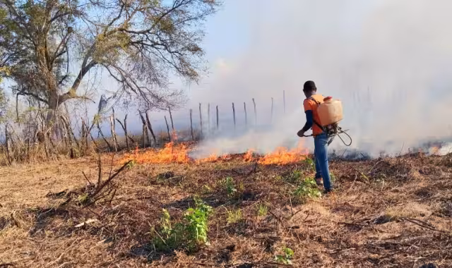 Voluntarios y Protección Civil sofocaron incendios en La Viuda y San Isidro, pero los siniestros continúan sin control.