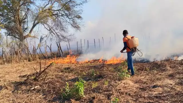 Voluntarios y Protección Civil sofocaron incendios en La Viuda y San Isidro, pero los siniestros continúan sin control.