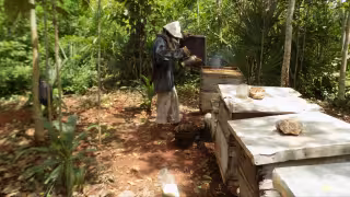 Bajas temperaturas ocasionan un comienzo de temporada de extracción de miel desfavorable