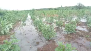 Seguirá el mal tiempo hasta el primero de octubre; pero también calor por el día