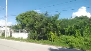 En Sabancuy, los terrenos baldíos abandonados se llenan de maleza y se convierten en criaderos de mosquitos y bichos ponzoñosos durante la temporada de lluvias.