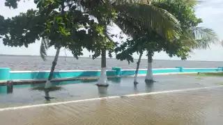 El nivel del agua del Estero de Sabancuy subió debido a la tormenta tropical "Francine" en el Golfo de México.