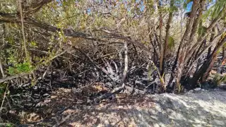 Se ha considerado como una estrategia ilegal para cambiar el uso de suelo e iniciar edificaciones