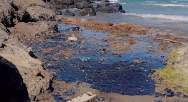 Sector pesquero alerta por posible caída en producción de camarón