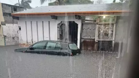No hubo reportes de daños mayores ni árboles caídos, aunque algunos vehículos se averiaron por el exceso de agua. No hubo reportes de daños mayores ni árboles caídos, aunque algunos vehículos se averiaron por el exceso de agua.