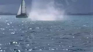 El fenómeno en altamar sorprendió a navegantes y testigos en el lugar.