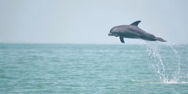 Cajún Uc confía en resultados positivos del plan en 2026