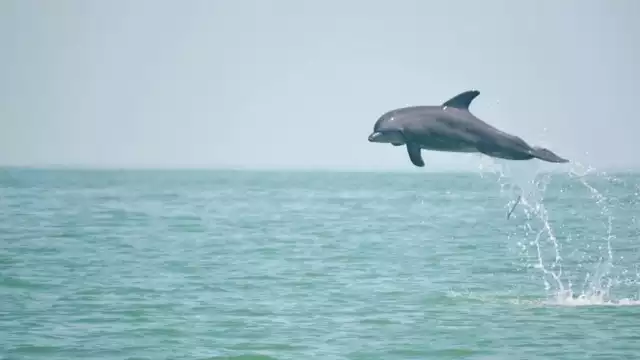 Cajún Uc confía en resultados positivos del plan en 2026