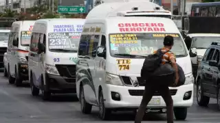 Chofer de una combi de Cancún atropella a un perro y huye