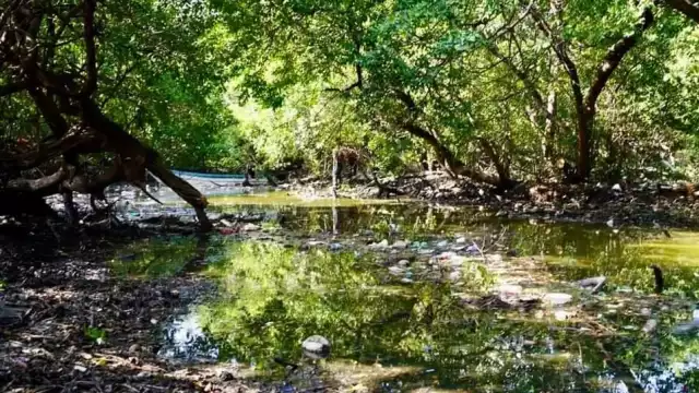 Dirección de Medio Ambiente tendría abiertos 10 expedientes por contaminación de cuerpos acuíferos
