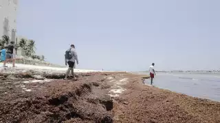 Prestadores de servicios comentaron que los visitantes, al ver las malas condiciones de la costa por la talofita, se van, agudizando la temporada baja.