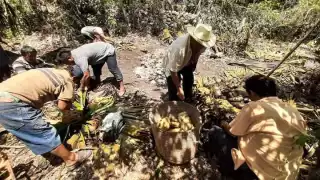Comunidad indígena de Felipe Carillo Puerto busca rescatar  ritual maya  