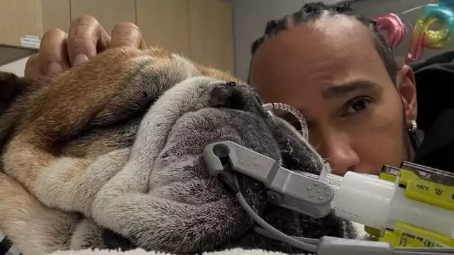 Roscoe desde el hospital