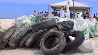 Más de 16 toneladas de basura y plásticos han sido retiradas de la ciénega de Progreso