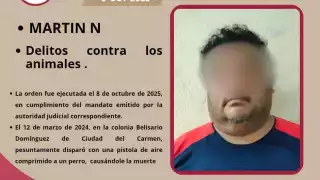 Activistas carmelitas celebran captura del agresor de Tobi; hace un año le disparó con pistola de aire