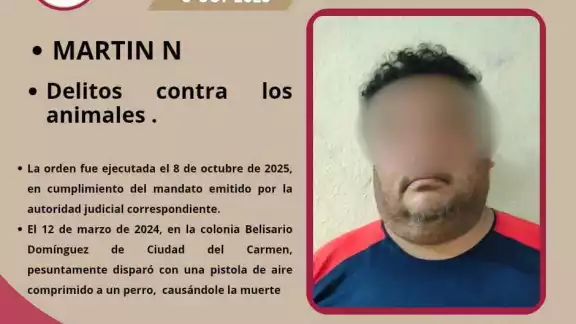 ¡Justicia para Tobi! Detención histórica en Ciudad del Carmen ¡Justicia para Tobi! Detención histórica en Ciudad del Carmen