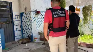 La FGE Yucatán ya se encuentra al tanto del caso de maltrato animal en Motul