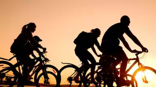 ¿Cuánto cuesta rentar una bicicleta durante una visita en Tulum?