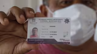 Imoveqroo alerta por circulación de licencias de conducir falsas en Cozumel