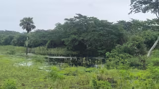 Lluvias y escurrimientos de Campeche y Yucatán llegan hasta la comunidad de Santa Gertrudis, Quintana Roo