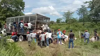 Aún con la evidencia documentada no hay detenidos por estos hechos.