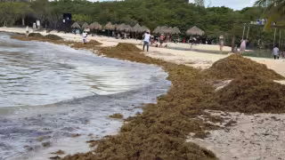 Visitantes expresaron su descontento al no poder disfrutar de las piscinas naturales del destino