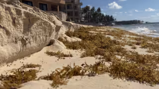 La erosión costera ha dejado tramos sin arenales, afectando la imagen turística del destino