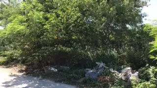 Reportan tiradero clandestino en La Esperanza de Chetumal