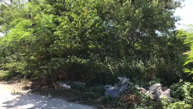 El lugar ha sido relegado a la decadencia