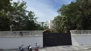 Advierte CONANP colapsos ecológicos por el alto crecimiento desmedido de Playa del Carmen