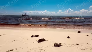 Erosión y agua “chocolatada" afectan la costa de Playa del Carmen