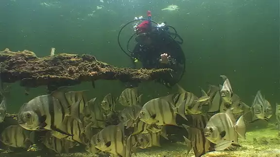 El Arrecife Alacranes, testigo de encallamientos y riesgo para el patrimonio cultural