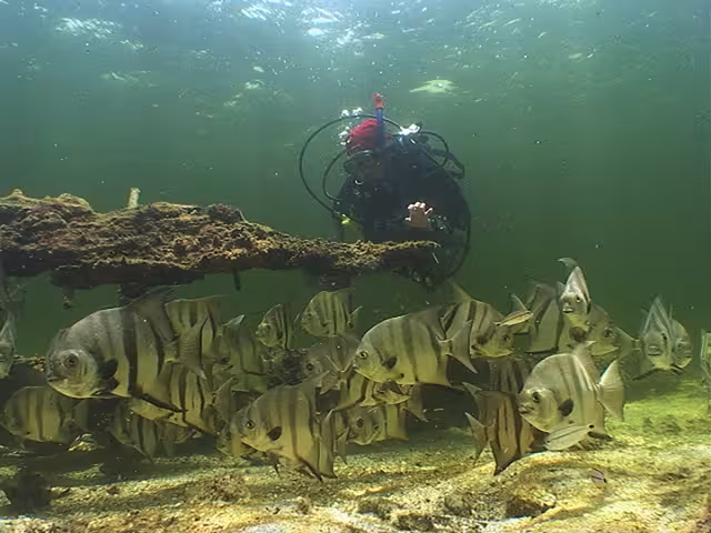 El Arrecife Alacranes, testigo de encallamientos y riesgo para el patrimonio cultural