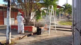 Evacúan cerca de 400 alumnos por enjambre de abejas en primaria de Kantunilkín