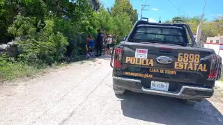 Avanzan las investigaciones para esclarecer la muerte de perros en Tizimín