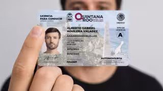 ¡Renueva tu licencia desde casa! Estos son los pasos para el trámite en línea en Quintana Roo