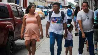 La asociaciónYaxché mantiene un seguimiento en municipios con mayor incidencia, como Halachó, Progreso, Umán y Kanasín