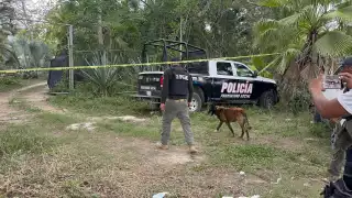 Todo inició por un reporte ciudadano que denunció la presencia de hombres armados en la zona