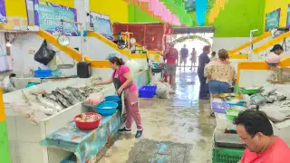 Bajan hasta 30% los precios de pescados y mariscos en Sabancuy