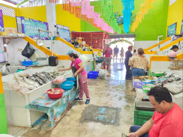 Camarón, pulpo y mojarra más baratos por temporada de “nortes”