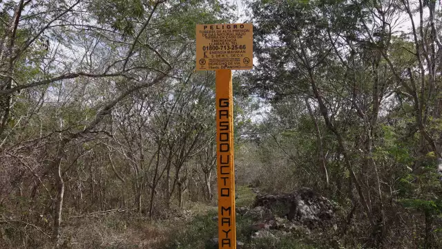 Es necesario para que funcione la nueva planta de Valladolid y que Yucatán genere energía