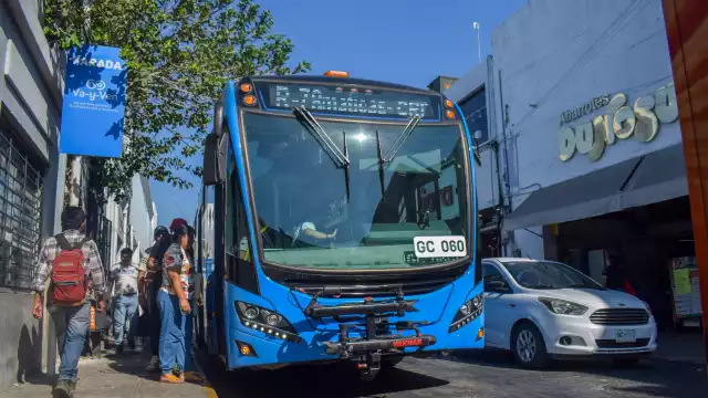 El OMM propone instalar cruces peatonales a nivel de banqueta.