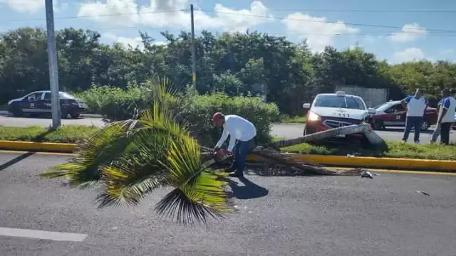 Se desconoce la causa que originó este percance