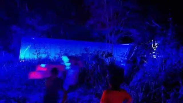 Tras el accidente, algunas personas aprovecharon para robar el producto.