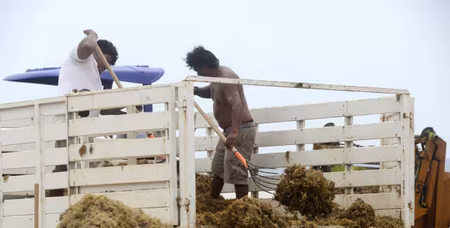 Especialistas dijeron que podría poner en peligro la vida, debido a los altos índices de amoniaco