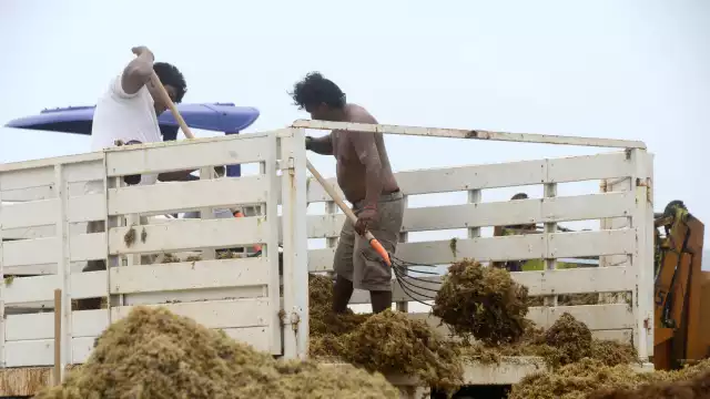 Especialistas dijeron que podría poner en peligro la vida, debido a los altos índices de amoniaco