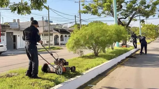 Elementos de la Policía Municipal de Othón P. Blanco limpiaron calles de la colonia Avancemos Juntos en Chetumal.