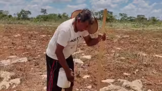 Rafael Cauich mantiene viva tradición agrícola ancestral